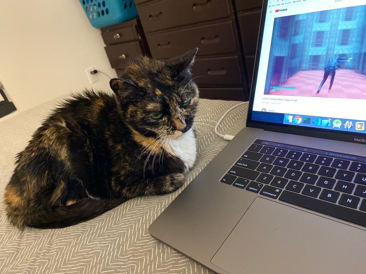 oh my god twitter doesn’t include alt text from images in their API